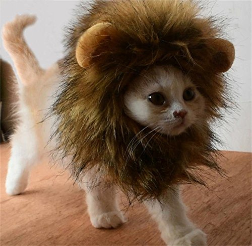 Bello Luna Parrucca di Leone di Animale Pet Cosplay Costume Halloween Party Animale Autunno Inverno Vestire Costume