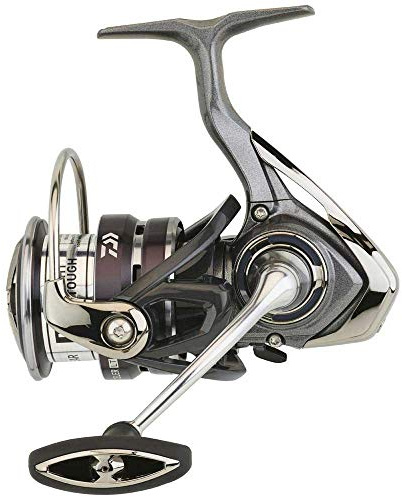 Daiwa Exceler LT 2500-XH Rolle