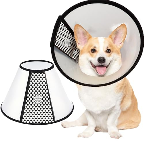 SUQ Haustier Kegel Einstellbar Halskrause, Halskrause für Haustiere, Haustiere Kunststoff Elisabethanischer Kragen Schutzkragen, Anti-Beißen Lecken Sicherheit Halsabdeckung, Kleine Hunde (33-36cm)