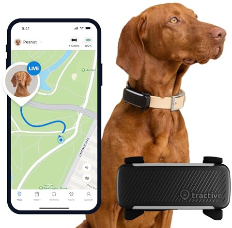 Tractive GPS Tracker Hund | 2025 Edition | Live-Ortung | Weglaufalarm | Aktivitätstracking | Gesundheitswarnungen | Bellverhalten | Empfohlen von Martin Rütter (Schwarz)