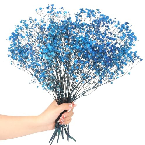 40cm Schleierkraut getrocknet 70g 2000+Natürlich Gypsophila Trockenblumen Blütenknospe Echt Trockenblumenstrauß für Hochzeit Brautsträuße Vasen Pampasgras Deko(Sapphire Blue)