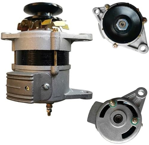 ZHOZHUT Lichtmaschine 220V 800W / 1300W/ 1500W Hoch-Macht Kleine Generatoren Permanentmagnet Bürstenlose Konstante Spannung Kupfer Kern Für Heimbeleuchtung, Dreiräder, Motorräder,800w,220V