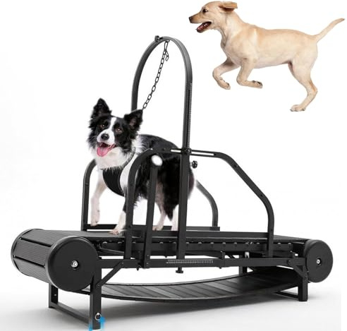 Adjustable Dog Treadmill for Exercise, Canine Running Slatmill Machine with Pedometer, Promotes Healthy & Fit Pet Life for Large/Medium Dogs