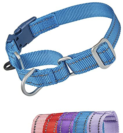 YUDOTE Reflekterande Martingale hundhalsband flyktsäker anti-drag-träningshalsband med säkerhet snabbfrigörande spänne för smala huvud hundar lätt promenad stor blå
