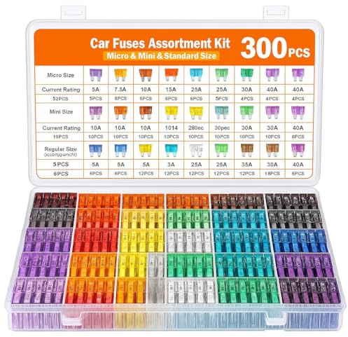 PintoHardware Kit de Fusibles Coche, 300 Piezas Automóvil + 1 Clip, Para Caravanas, Furgonetas, Motos, Tamaños 50 Micro, 160 Mini y 90 Estándar, 2A a 40A, con Estuche Organizador