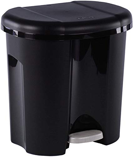 Rotho Duo Portarifiuti per la Raccolta Differenziata con Coperchio e Pedale, Plastica (PP) senza BPA, Nero, 2 x 10 L, 39.0 x 32.0 x 40.5 cm