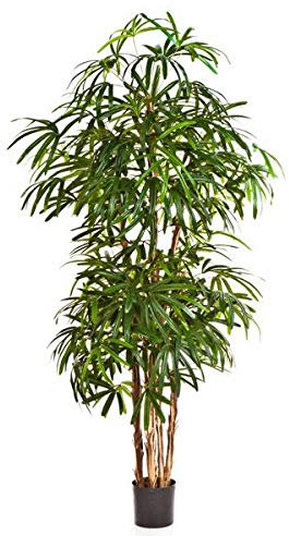 artplants.de Plastic Broadleaf Lady Palm with 789 Leaves, 6ft/170cm - Artificial Palm - Pool Decoration