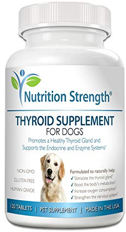 Nutrition Strength Thyroid Supplement for Dogs, Support for Hypothyroidism in Dogs with Organic Bladderwrack, Promotes Normal Function of Endocrine and Enzyme Systems, 120 Chewable Tablets