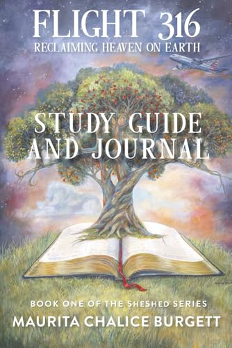 Flight 316 Study Guide (SheShed Series)