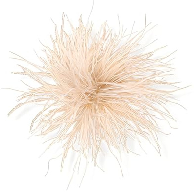 LAKPYN 1pcs Broche de plumas para mujer, pluma de avestruz natural, multicolor, broche, teatro