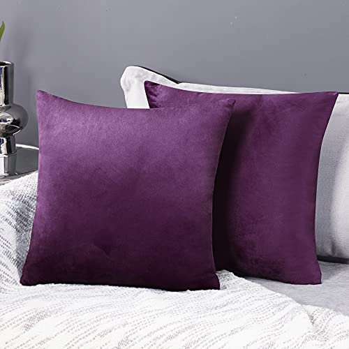 Deconovo Pack of 2 Velvet Throw Pillow Covers Soft Design Cushion Covers Decorative Pillow Covers for Bedroom Living Room Sofa Office 24x24 Inch Dark Purple