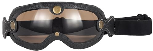 evomosa Motorradbrille Reiten Brille für Frauen Männer Erwachsene Dirt Bike Off-Road Radfahren Sport Anti-Kratz winddicht Brille (Schwarz Braun)