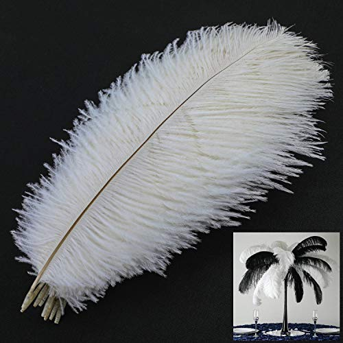 MWOOT 10 Stück Natürliche Straußenfedern, Strauß Feder Plume für Hochzeit Party Fest Tisch Herzstück Dekoration (Weiß, 25-30cm)