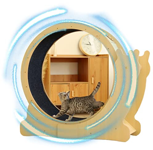 json2xml Großes Laufkatzenrad, Katzentretmühle - Lücke 6mm (Keine Pfotenverletzung), Sicherheitsbajonett | Geräuschlos, Zwei Größen Katzenlaufrad Für Katzen Bis 12,5kg, Haustieraktivitätsrad,M