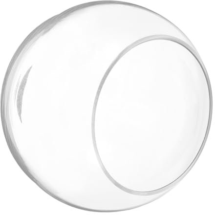 BESTonZON Klarer Glasbowl Fischglas Runde Terrarium Vase Für Pflanzen Und Fische Transparent Dekorativ Für Und Büro