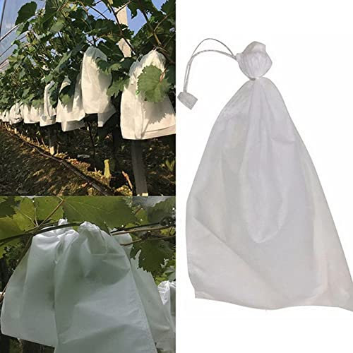 ASXZ 100 Stück Traubenschutzbeutel, Obst-Gemüse-Trauben-Netzbeutel, wasserdichter Schädlingsbekämpfungs-Anti-Vogel-Gartensämlingsbeutel,Weiß,350 * 450mm