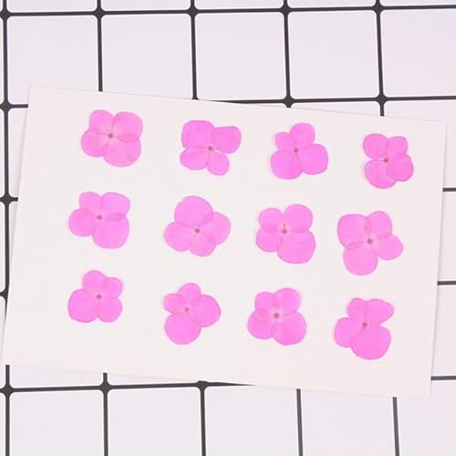 1 Sac Hortensia séché Fleur pressée Fleur Epoxy Collier Bijoux pressé Fleur téléphone Cas matériel-14