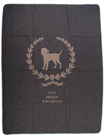 David Fussenegger - Hundedecke My Best Friend grau 100 x 140 cm
