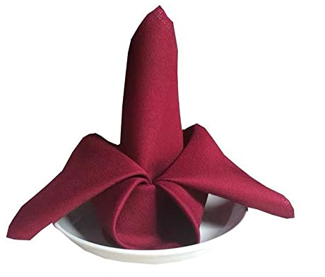 FANSU Servietten 10/20/50/100er Pack, Hochwertige Stoffserviette Waschbare Weiche Stoffservietten für Weihnachten, Hochzeit, Geburtstag, Feiern (Burgundisch,48x48cm/10er Pack)