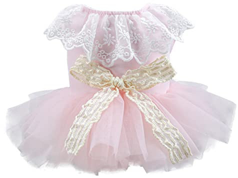 Hund Tutuu Kleid Hundekleider Hund Schleifen Kleid Hund Prinzessin Kleid Welpen Kleid Hundekostüm Haustier Kleider Hundebekleidung