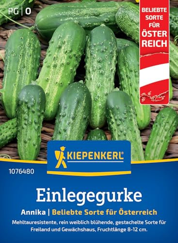 Kiepenkerl Profi-Line Einlegegurkensamen Annika, F1 1076480 - Knackige Gurkensamen für Beet & Gewächshaus - Mehltauresistent - Saatgut, Gurkenpflanzen