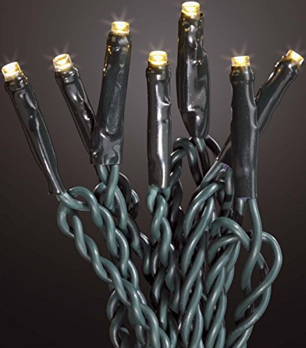 hellum LED Lichterkette Außen oder Innen, Lichterkette Warmweiß, strombetrieben mit 40 LED, 3,90m beleuchtete Länge Weihnachtsbaumbeleuchtung mit Kabel in Grün <59 lm I 560435