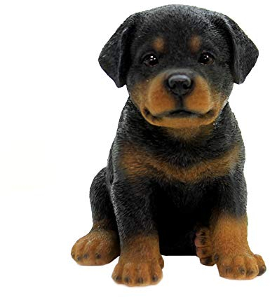 Pacific Giftware Rottweiler Welpen Figur - Realistisch lebensecht Hunde Welpe Baby Dekofigur Geschenk für Hundeliebhaber