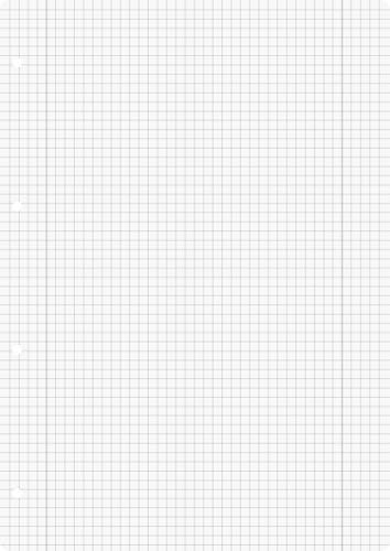 Brunnen 1066928 Ringbucheinlagen A4 (kariert, mit Randlinien, Lineatur 28, 50 Blatt, 70 g/m²)