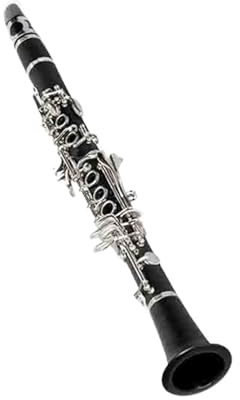 Clarinete En Mi Bemol Instrumento De Práctica Para Principiantes Instrumento Musical Clarinete Para Adultos