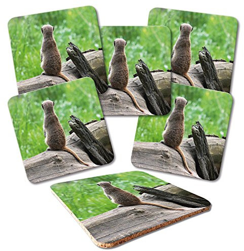 ADDIES Glas-Untersetzer 6-TLG.Set Bedruckt Motiv ERDMÄNNCHEN-05 in hochwertiger Klarsicht-Geschenkbox und Korkrückseite, Tier-Motiv