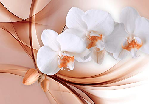 wandmotiv24 Fototapete Orange Orchidee, XXL 400 x 280 cm - 8 Teile, Wanddeko, Wandbild, Wandtapete, Abstrakt, Blüten-Stängel, Blumen M1172