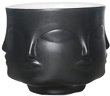 Pot de fleurs en céramique avec tête de cactus pour plantes grasses Noir