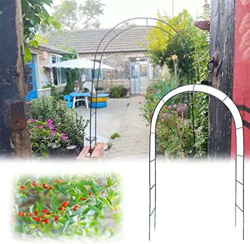 Arche Jardin Aluminium Largeur, Arche À Rosiers Métal, Filet À Plantes Grimpantes, Filet de Treillis, pour Récolte de Concombres, Légume, Vignes, Plantes Grimpantes,W1.8mxH2.2m