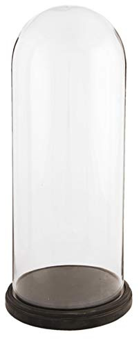 LAC 60cm Glass Display Bell Jar Oval Cloche on Dark Wood Base Display Stand