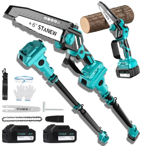STANEW 2-en-1 Élagueuse sur perche,mini tronçonneuse à batterie sans balais
