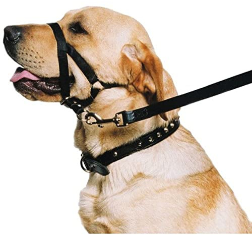 Ancol Hunde-Trainingshalfter, Halsband