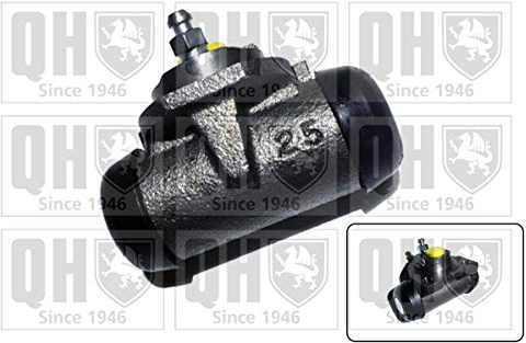 QUINTON HAZELL BWC3824 Radbremszylinder Trommelbremse Radzylinder Hinten Ø21mm Kompatibel mit FORD KA RU8, FIAT PANDA 169 500 312 500 C 312, ROVER Maestro Schrägheck, AUSTIN Maestro XC