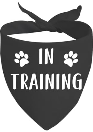 Hundehalstuch, Aufschrift Ask To Pet, Give Me Space, Hundehalstuch, Rettungshunde, Geschenk, 1 Stück (in Training, Schwarz D)