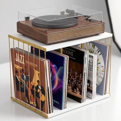 Xygobla Vinyl Record Storage Stand for 80 LPs | Stackable Metal & Wood LP Album Holder, 3 Compartment Desktop Organiser Box for Vinyl Records, Books & Magazines