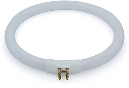 Technical Precision 12W Circline Replacement for Daylight Un0004 Light Bulb T4 Circular 12W G10Q Fluorescent Bulb - Daylight - 1 Pack