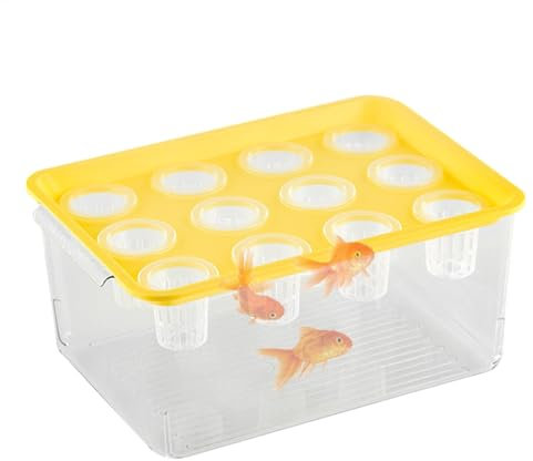 Aquaponischer Pflanzer und Aquarium für Betta -Fische, Betta Fischtank | Anlagenverteilungsstation | Fischtank fördert eine gesunde hydroponische Umgebung für die Tischdekoration