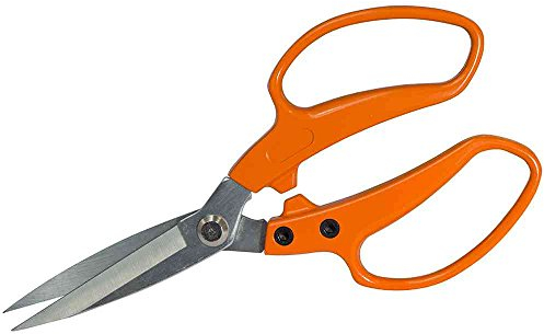 Siena Garden Gartenschere, Blumenschere, Rosenschere, 313241