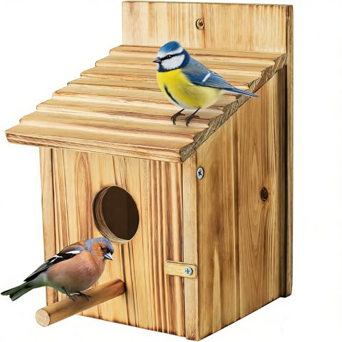 Nichoir à oiseaux en bois à suspendre pour petits oiseaux sauvages, nichoir pour oiseaux moqueurs, colibris, perroquets, merles bleus