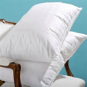 hungarian goose feather & down pair of pillows