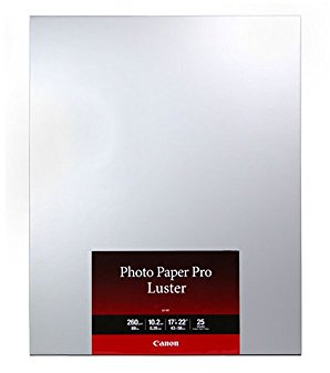 CanonInk Luster Photo Paper Inkjet Photo Quality Paper (6211B025)
