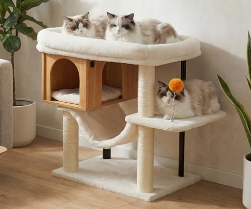 Heybly Arbre À Chat, Grande Plateforme 54 x 40 cm en Peluche, Maison en Bois, Hauteur 57.5 cm, Ses Tubes en Fer Et Base Large Procurent Bonne Stabilité, Parfait pour Chats Gras,Bois de Noyer HCT017WB