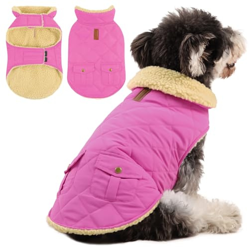 Queenmore Wintermantel Hund Warme Wasserdicht Hundemantel Für Kleine Hunde Fleece Hundejacke Winter Hundepullover Für Dackel Chihuahua Pudel Malteser, Rosa, XS