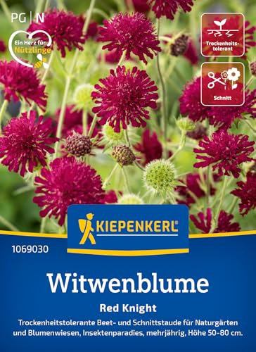 Kiepenkerl Witwenblumensamen Red Knight 1069030, Blumensaat | Trockenheitstolerante Beet- und Schnittstaude für Naturgärten und Blumenwiesen