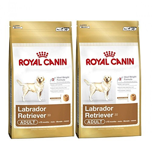 Royal Canin Hundefutter für ausgewachsene Hunde, für Labrador, Retriever, 2 x 12 kg