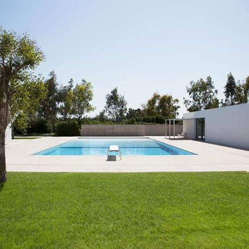 Decoweb Gazon synthétique Spécial Piscine - 30 mm - Rouleau de 2m x 10m